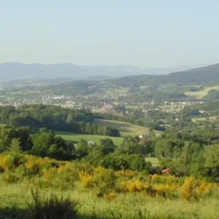 Gite De Moyenne Montagne Anould Exterior foto